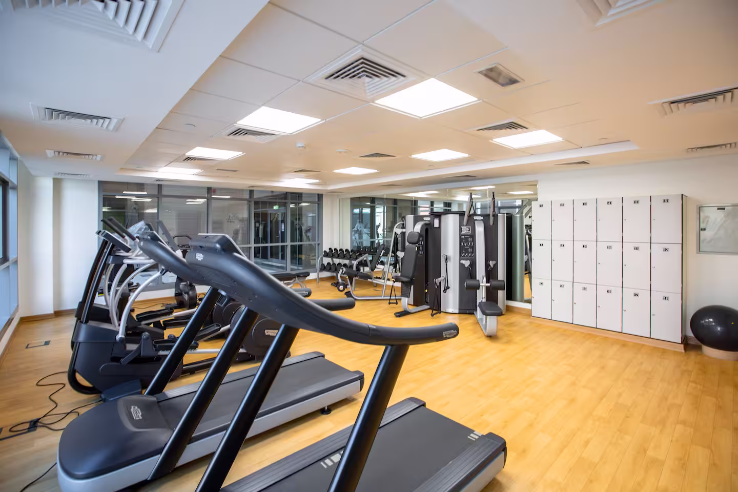 Gymnasium